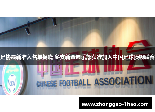 足协最新准入名单揭晓 多支新晋俱乐部获准加入中国足球顶级联赛 足协最新准入名单揭晓 多支新晋俱乐部获准加入中国足球顶级联赛