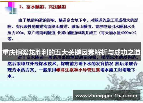 重庆铜梁龙胜利的五大关键因素解析与成功之道 重庆铜梁龙胜利的五大关键因素解析与成功之道