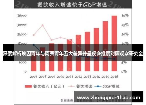 深度解析埃因青年与阿贾青年五大差异并呈现多维度对照观察研究全 深度解析埃因青年与阿贾青年五大差异并呈现多维度对照观察研究全